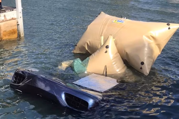 Kết quả khám nghiệm cho thấy tài xế Mucciaccio không hề sử dụng rượu bia hay bất kỳ một loại chất kích thích nào khác trước khi thực hiện hành động khó hiểu này. Nguyên nhân của vụ việc hiện vẫn là một ẩn số.