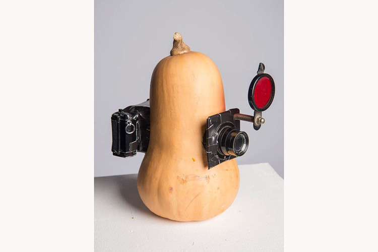 Quả bí ngồi tạo ảnh. 