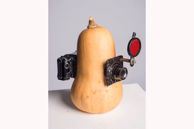 Quả bí ngồi tạo ảnh. 