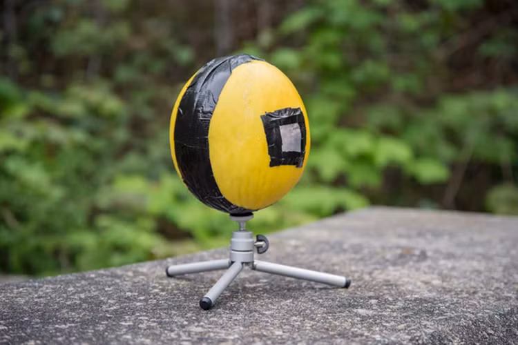 Máy ảnh quả chanh.