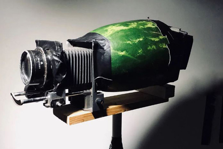 Hết dứa thì đến...dưa hấu được đem ra thử nghiệm. 