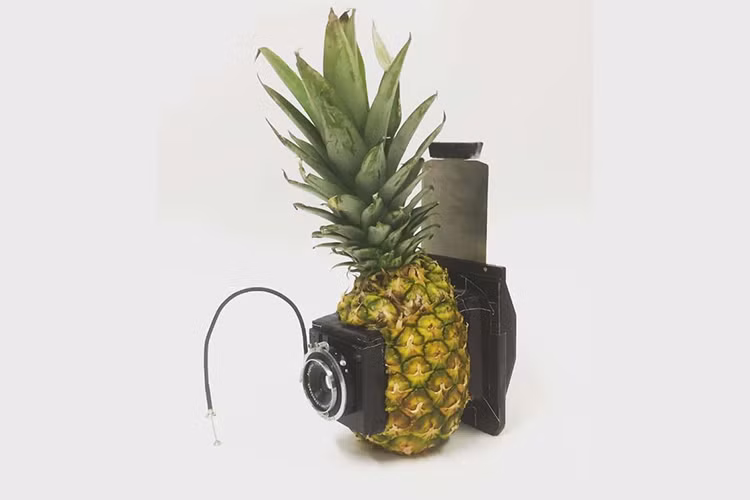 Máy ảnh quả dứa.
