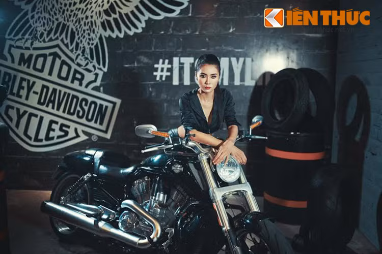 Là một trong những mẫu xe Cruiser mạnh mẽ nhất trong phân khúc, V-Rod Muscle sở hữu động cơ V-Twin 1.247cc, công nghệ phun xăng điện tử ESPFI, làm mát bằng dung dịch.