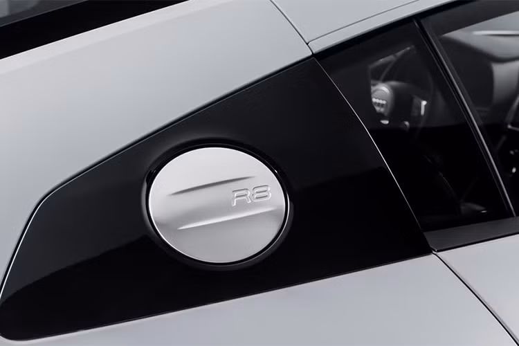 Bên cạnh đó, siêu xe Audi R8 RWS giá rẻ cũng nhẹ hơn 50kg so với mẫu xe Quattro tiêu chuẩn vì không đi kèm với trục khuỷu, bộ ly hợp nhiều trục và vi sai trung tâm. Tổng trọng lượng của xe chỉ là 1.590 kg. 