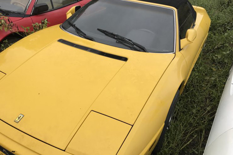 Tuy nhiên, chỉ đến khi tìm tới thương hiệu Ferrari, ông mới khám phá ra niềm đam mê thực sự của mình. Vị luật sư giàu có này đã dần dần thu thập 13 chiếc siêu xe Ferrari khác nhau cho bộ sưu tập cá nhân của mình.