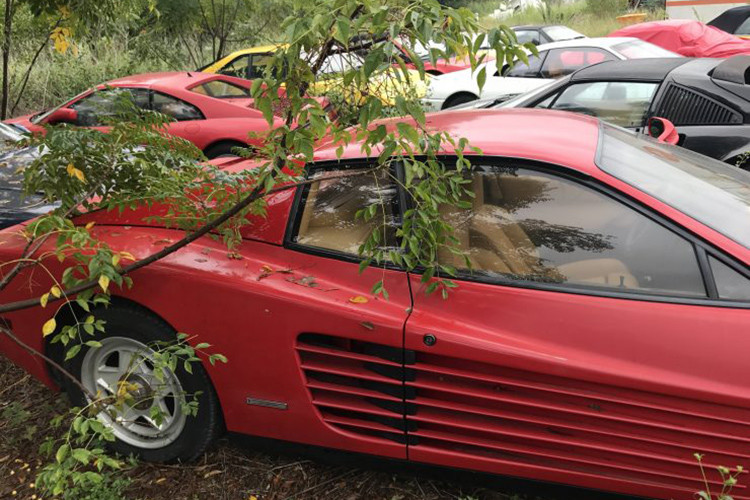 Hiện gia đình vị luật sư đã có quyền sở hữu bộ sưu tập xe này tuy nhiên chúng đều đã xuống cấp nghiệm trọng do bị bỏ xó ngoài trời bất kể nắng, mưa... Tuy nhiên, những chi tiết của chúng đều nguyên bản và còn tốt.