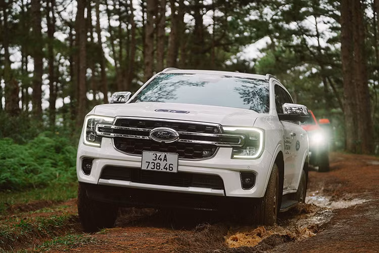 Hai mẫu xe xếp vị trí thứ 9 và 10 là Ford Everest và Hyundai Creta với doanh số bán xe lần lượt là 1.458 và 1.330 (xe), đều tăng so với kỳ báo cáo tháng 10/2024. Đây là tháng hiếm hoi trong năm 2024, đà tăng trưởng doanh số diễn ra ở cả 10 mẫu ôtô bán chạy nhất Việt Nam.