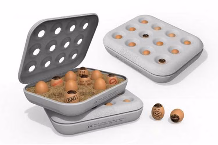 Tác phẩm Honest Egg (Những quả trứng trung thực), thuộc nhóm aesthetid {Paul Yong Rit Fui(Malaysia), Jaihar Jailani Bin Ismail (Malaysia)}:Được hướng dẫn bởi Jessica Walsh. Kết hợp công nghệ mới (mực in thông minh) và thiết kế sáng tạo (chỉ dẫn) nhằm hướng dẫn cụ thể hạn sử dụng của trứng.