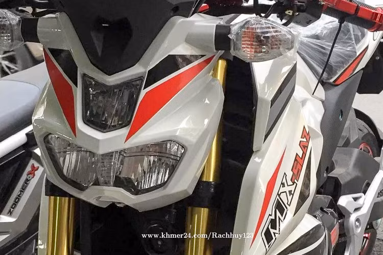 Kiểu dáng chiếc MX-Slaz hàng nhái này lấy nhiều chi tiết thiết kế từ Yamaha TFX 150 nhưng có kích thước và động cơ nhỏ hơn. Mẫu xe này được cho là có xuất xứ từ Trung Quốc, logo in trên cụm động cơ có chữ "Raptor", dung tích 125cc, công suất khoảng 10 mã lực.