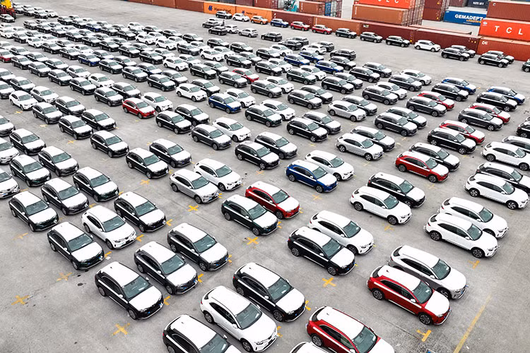 Lo 1800 xe VinFast VF8 tai cang Hai Phong, san sang den My va Canada-Hinh-3