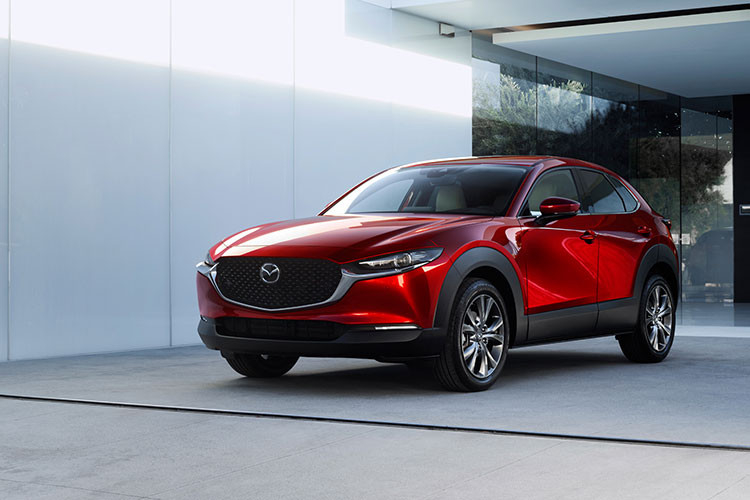 Tại thị trường Malaysia, giá xe Mazda CX-30 dao động từ 143.119 - 173.027 RM (khoảng 794 - 961 triệu đồng). Khách hàng có thể chọn các màu sơn ngoại thất như đỏ Soul Red Crystal, xám Machine Gray, trắng Snowflake White Pearl, xanh dương Deep Crystal Blue, bạc Sonic Silver, xám Polymetal Gray, xám đậm Titanium Flash và đen Jet Black.