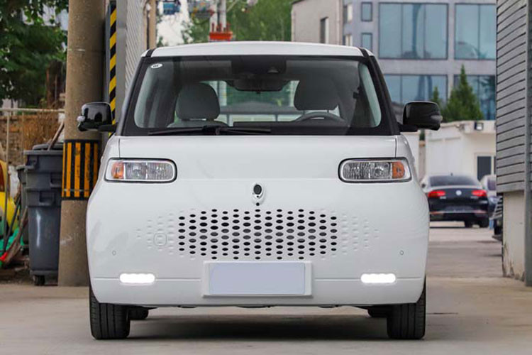 Mẫu xe điện bình dân giá rẻ Ora White Cat 2021 mới (có mã Ora R2) chính thức ra mắt thị trường Trung Quốc cuối năm 2020, trong tháng 1/2021 đã chính thức đến tay người tiêu dùng với 2.089 xe.