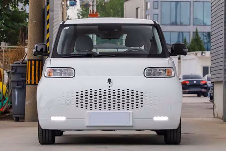 Mẫu xe điện bình dân giá rẻ Ora White Cat 2021 mới (có mã Ora R2) chính thức ra mắt thị trường Trung Quốc cuối năm 2020, trong tháng 1/2021 đã chính thức đến tay người tiêu dùng với 2.089 xe.