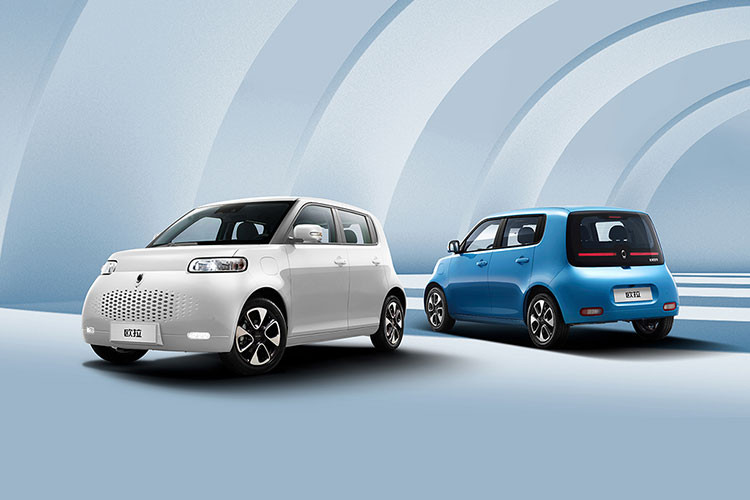 Thông qua việc đăng ký bảo hộ kiểu dáng công nghiệp, nhiều khả năng Ora White Cat sẽ được bán ra tại thị trường Việt Nam trong thời gian tới. Giá xe Ora White Cat chưa được tiết lộ cụ thể.