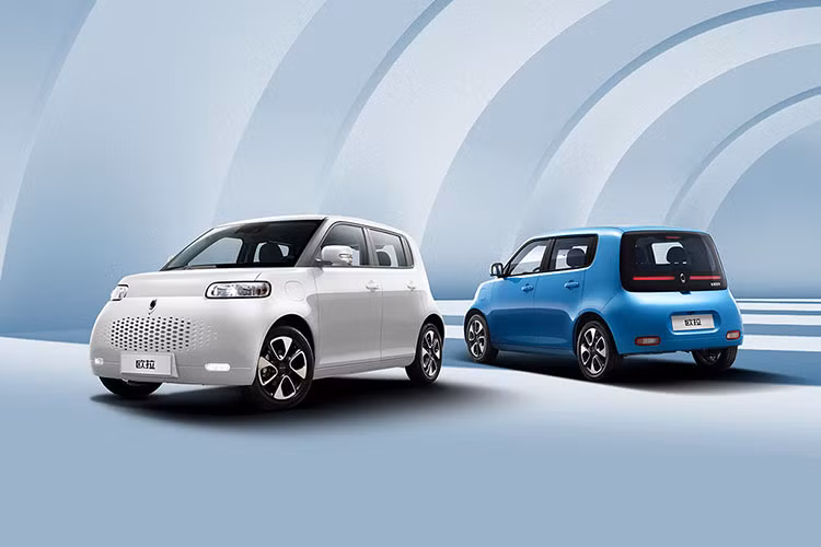 Thông qua việc đăng ký bảo hộ kiểu dáng công nghiệp, nhiều khả năng Ora White Cat sẽ được bán ra tại thị trường Việt Nam trong thời gian tới. Giá xe Ora White Cat chưa được tiết lộ cụ thể.