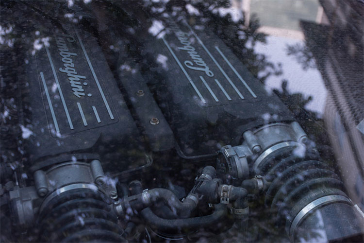 Hiện tại những chiếc siêu xe Lamborghini Gallardo đời cũ này không còn được nhiều đại gia siêu xe Viẹt Nam ưa chuộng bởi đã lỗi mốt và "uống xăng" thuộc loại khủng nhất hiện nay. Mức giá xe cũ tại Việt Nam chỉ khoàng hơn 1 tỷ đến 4 tỷ đồng, tuỳ từng phiên bản cũng như độ mới cũ khác nhau.