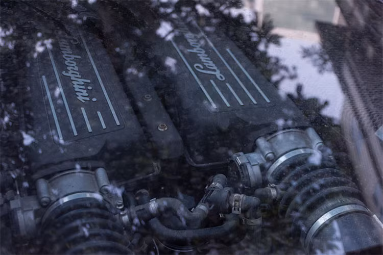 Hiện tại những chiếc siêu xe Lamborghini Gallardo đời cũ này không còn được nhiều đại gia siêu xe Viẹt Nam ưa chuộng bởi đã lỗi mốt và "uống xăng" thuộc loại khủng nhất hiện nay. Mức giá xe cũ tại Việt Nam chỉ khoàng hơn 1 tỷ đến 4 tỷ đồng, tuỳ từng phiên bản cũng như độ mới cũ khác nhau.