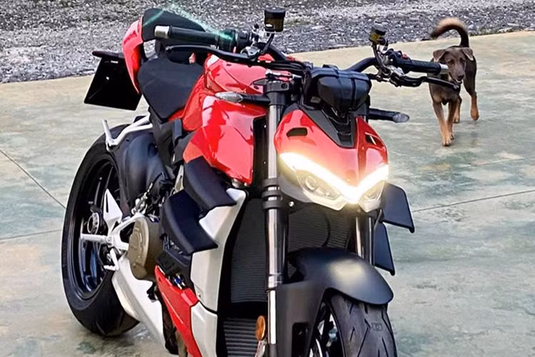 Tại thị trường châu Âu, giá xe Ducati Streetfighter V4 và V4 Streetfighter V4 S lần lượt được niêm yết ở mức 19.990 EUR và 22.900 EUR, tương đương 535 triệu đồng và 615 triệu đồng.