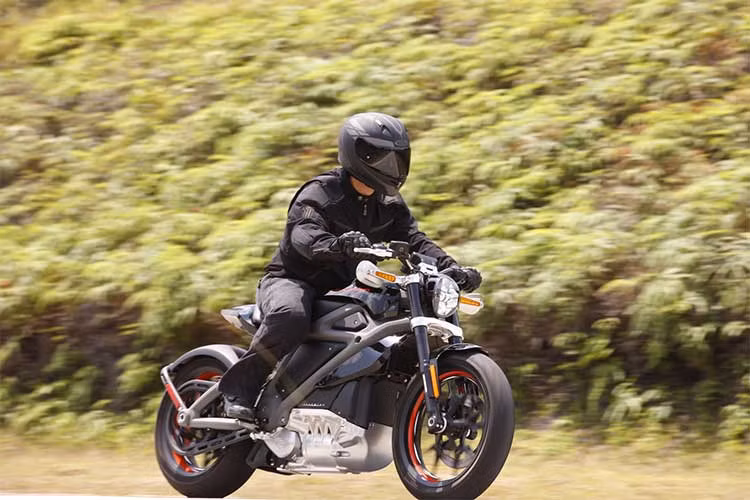 Đây là mẫu môtô điện đầu tiên của thương hiệu môtô cơ bắp Mỹ nằm trong chiến lược tung ra thị trường 100 mẫu xe mới cho tới năm 2027 của hãng. Với mục đích thu hút đối tượng khách hàng mới trẻ trung năng động hơn cùng hòa mình vào bầu không khí phát triển xe điện vì tương lai xanh.