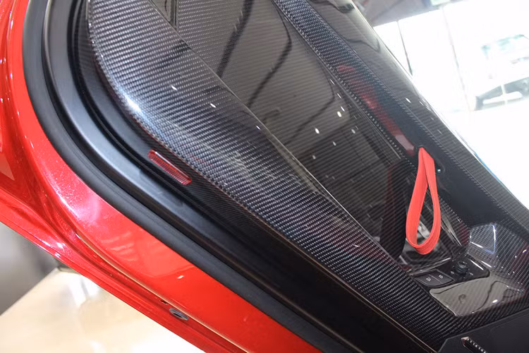 Rosso Mars là màu sơn đặc trưng của Lamborghini, một màu đỏ tối màu hơn của màu đỏ Ferrari. Gầm xe la-zăng được điểm xuyến bằng màu đen bóng. Các chi tiết ốp xe được sử dụng sợi các bon siêu nhẹ.