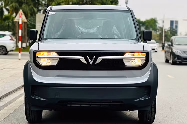 Hon 12.000 oto dien VInfast den tay khach Viet thang 3/2025