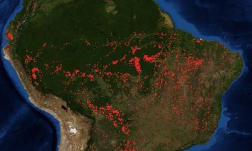 Google nham chay rung Amazon voi mot chiec may tinh bang