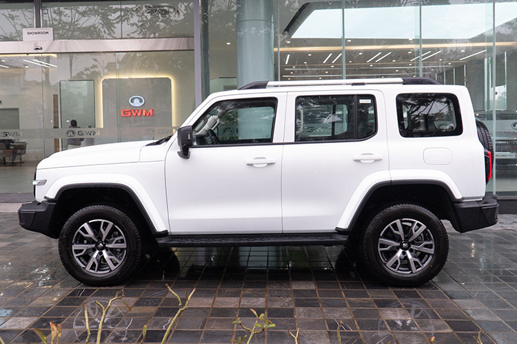 Nhà phân phối chưa công bố thời điểm mở bán cũng như giá chính thức của Tank 300. Tuy nhiên, theo thông tin từ tư vấn bán hàng thì mức giá xe Tank 300 tại Việt Nam sẽ có hai phiên bản với mức giá lần lượt là 1,5 tỷ đồng và 1,8 tỷ đồng. So với các đối thủ, mức giá của Tank 300 cao hơn đáng kể. 