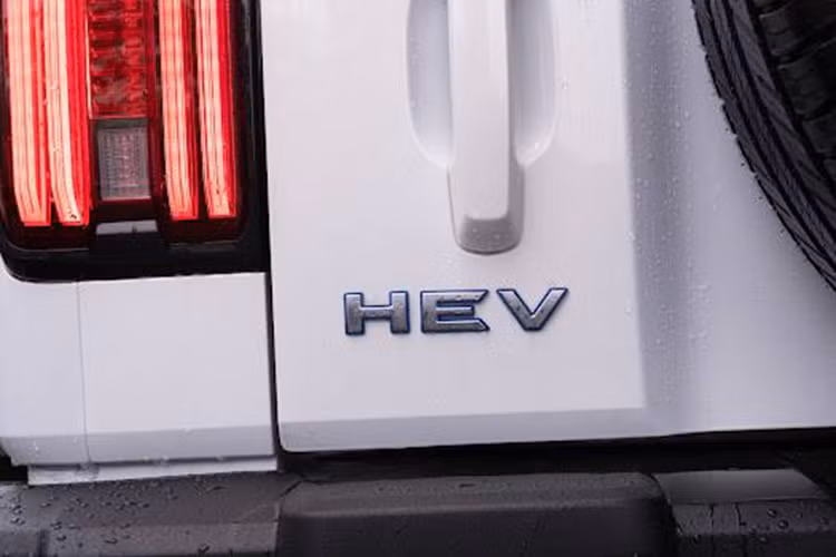 Những đường nét cơ bắp, vuông vức là tạo hình chủ đạo của Tank 300. Riêng đèn pha dạng tròn cổ điển kèm định vị LED vắt ngang. Phía sau là đèn hậu LED dạng sọc đứng, cốp mở ngang như xe Jeep địa hình.