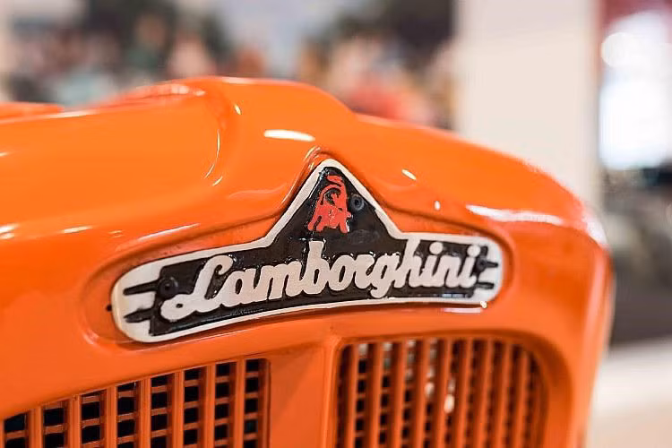 Bộ phận sản xuất máy kéo Lamborghini có tên Lamborghini Trattori, được thành lập năm 1948 và nhanh chóng tăng sản lượng từ 52 chiếc/năm lên 200 chiếc/năm. Động cơ do Lamborghini phát triển được thay thế bằng linh kiện từ thiết bị quân sự.
