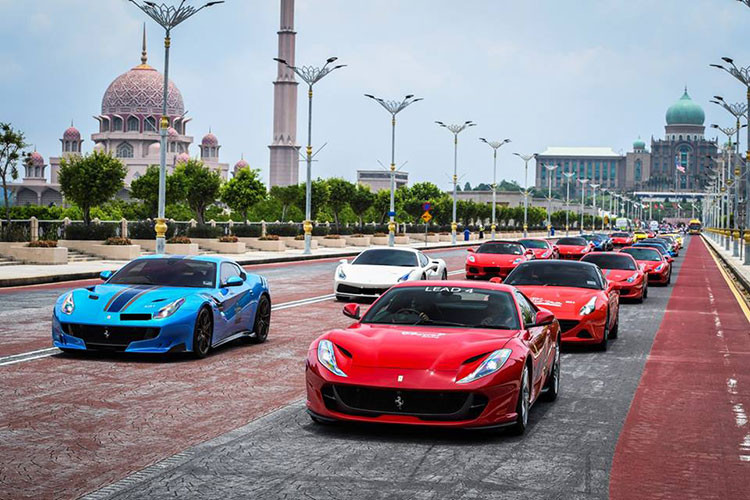 Ngoài ra, 1 số chiếc mang các màu lạ như xám nhìn thấy trên chiếc Ferrari GTC4Lusso, màu vàng của Ferrari 458 Spider, màu trắng của Ferrari 458 Italia, Ferrari 458 Speciale, màu xanh Ferrari F12tdf và màu xanh Green Jewel của chiếc Ferrari 812 Superfast.