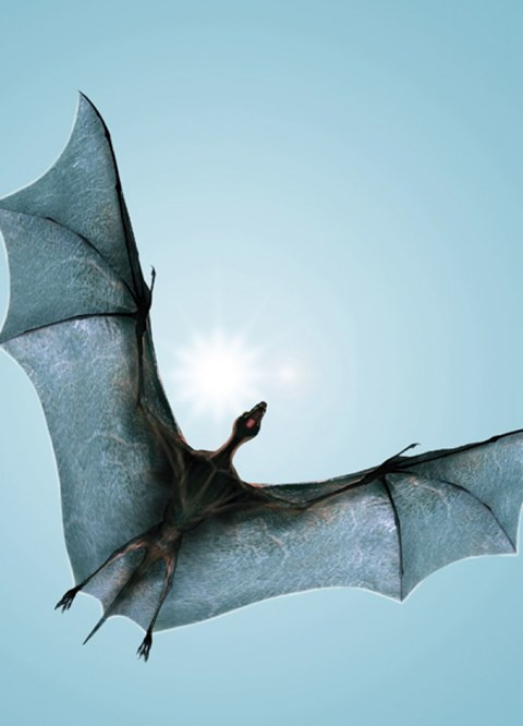 Con dơi ăn thịt tương lai có sải cánh dài tới 1,3 mét dễ dàng bắt con mồi dưới mặt đất từ trên cao. Con thú này có khác biệt so với dơi đó là nó chỉ hoạt động vào ban ngày. Chúng sẽ chờ đến khi mặt trời lên cao, sử dụng dòng không khí ấm áp để di chuyển với khoảng cách lớn hơn. Các chuyên gia dự đoán loài vật này sinh sống ở Bắc Mỹ.