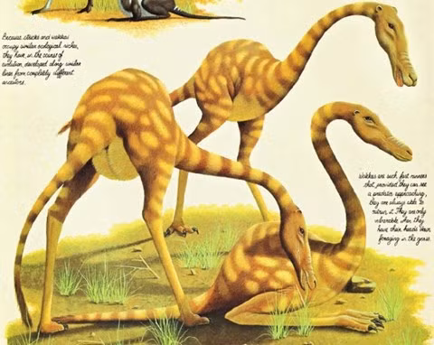 Tên khoa học của quái thú này là Anabracchium struthioforme, thuộc bộ đà điểu nhưng to lớn hơn rất nhiều. Con vật khổng lồ ăn cỏ, sống ở đồng cổ bao la ở Nam Mỹ. Chân của loài này rất dài, cổ dài giúp chúng giữ cân bằng duy trì trung tâm trọng lực ở thân.