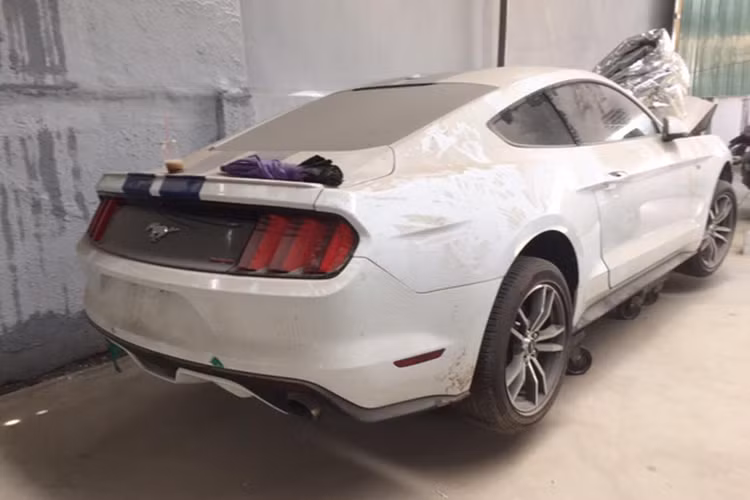 Ford Mustang sử dụng động cơ EcoBoost 4 xi-lanh, dung tích 2,3 lít, sản sinh công suất tối đa 310 mã lực và mô-men xoắn cực đại 433 Nm. Sức mạnh được truyền tới bánh thông qua hộp số tự động 6 cấp. Nhờ đó, xe có thể tăng tốc từ 0-100 km/h trong 5 giây và đạt vận tốc tối đa 250 km/h.