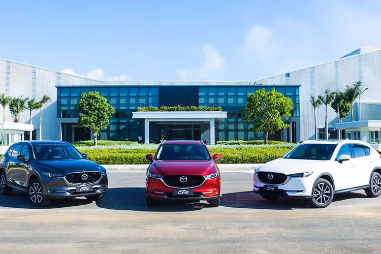 Mazda CX-5 mới bất ngờ trở thành mẫu xe đạt doanh số cao nhất hãng và có mặt trong bảng xếp hạng xe bán chạy nhất trong tháng 12/2019 với 1.360 xe xuất kho. Cộng dồn cả năm có 10.231 xe CX-5 được khách hàng lựa chọn. Trong phân khúc Crossover, Mazda CX-5 là mẫu xe mang đến cho người tiêu dùng nhiều sự lựa chọn về phiên bản và màu sắc nhất.