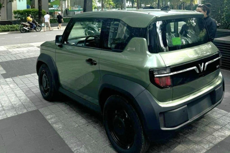 Một số ý kiến trên mạng xã hội cho rằng mức giá đó quá cao cho VF3 thuê pin giá chỉ 240 triệu đồng. Tuy nhiên, cũng có ý kiến bênh vực rằng người đầu tư có quyền tìm kiếm lợi nhuận. Người bán đã đặt cọc thuê pin và cam kết chi trả tất cả chi phí sang tên và các phí lăn bánh tại TP. HCM, nên người mua không phải chi thêm bất kỳ khoản phí nào khác ngoài mức giá "sang tay".