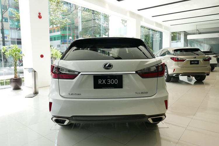 Mẫu xe crossover RX 300 hạng sang này sẽ vẫn trang bị động cơ DOHC 4 xy lanh dung tích 2.0L kèm tăng áp cho công suất 234 mã lực tại 5.600 vòng/phút và mô men xoắn cực đại 350 Nm tại 1.650 – 4.000 vòng/phút, kết hợp với hộp số tự động 6 cấp, vận tốc tối đa đạt 200km/h.