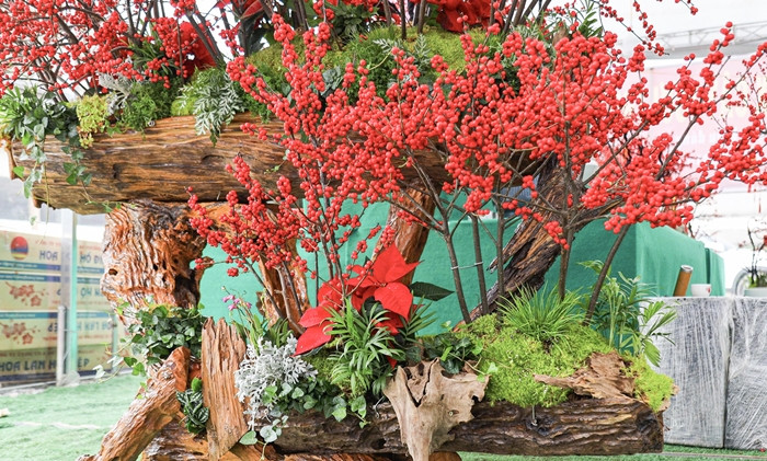 Chậu đào đông 2 tầng đặt trên thân gỗ lũa giá hơn 100 triệu đồng. Ảnh: Suckhoedoisong