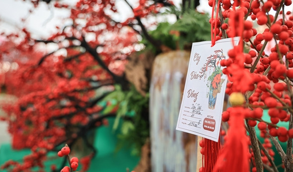 Dù có mức giá cao, đào đông vẫn đang hút khách dịp Tết. Ảnh: Baotintuc