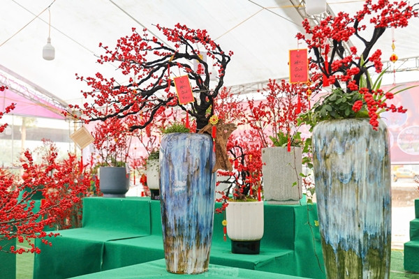 Tại nhiều nhiều gian hàng bán cây cảnh trên tuyến đường Phạm Hùng (quận Nam Từ Liêm, Hà Nội), những chậu đào đông nhập khẩu giá từ vài triệu đồng đến trăm triệu đồng, thu hút đông đảo khách hàng. Ảnh: Tiền phong