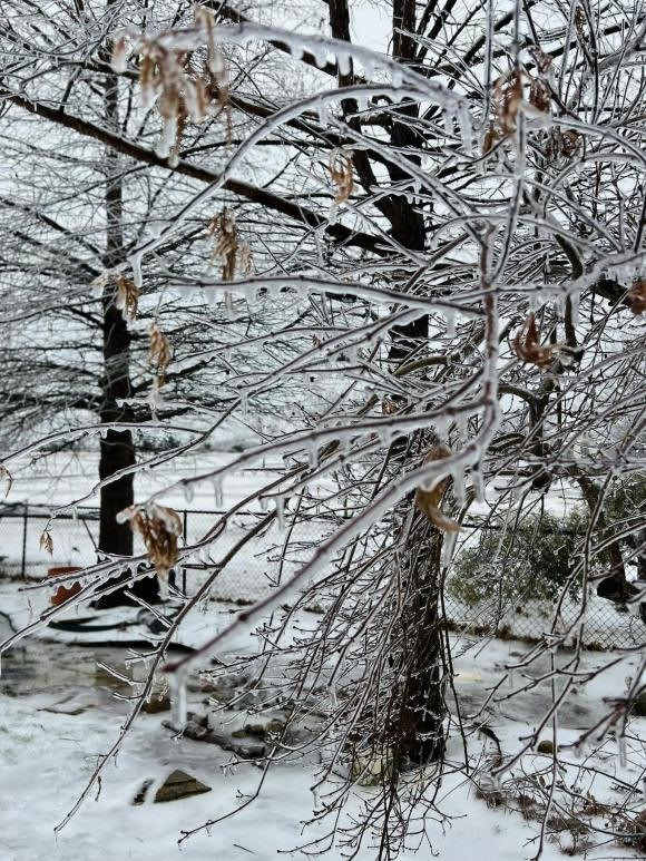 Trước đó vào tháng 1, Hồng Ngọc đăng tải cảnh tuyết phủ xung quanh nhà. Ảnh: FB Ngoc Hong Nguyen