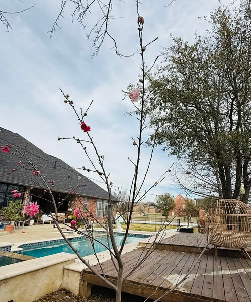 Biệt thự của Hồng Ngọc rộng 1.000m2 được thiết kế theo phong cách Châu Âu cổ điển với 5 phòng và có khoảng sân vườn khá rộng. Ảnh: FB Ngoc Hong Nguyen