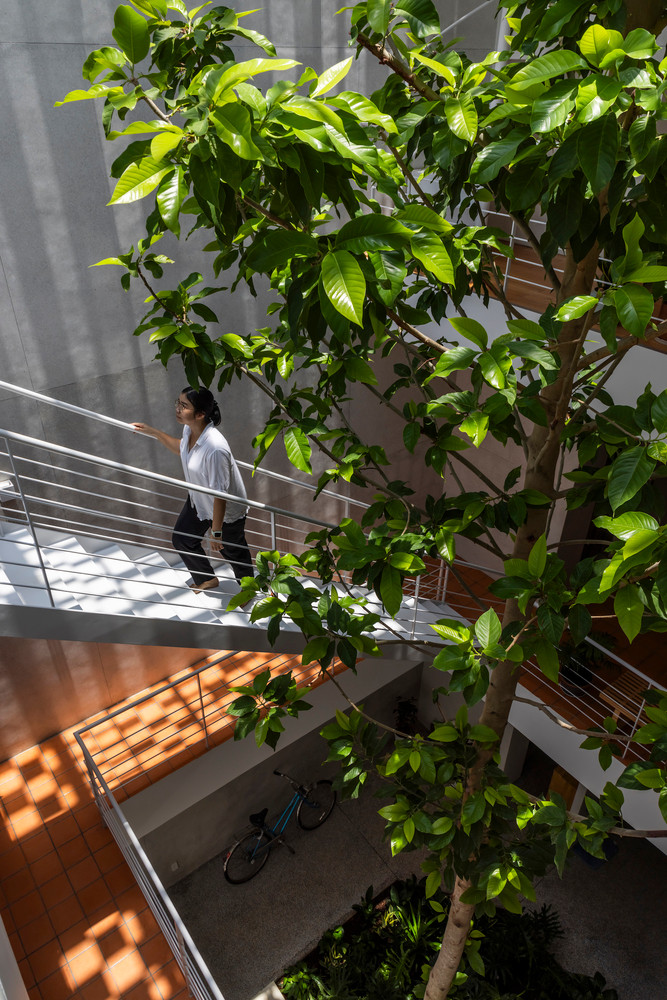 Cây ngọc lan hoa trắng, cao khoảng 10m, được trồng ở giếng trời của khu vườn phía trước, bao quanh bởi hệ thống lưu thông gồm cầu thang và cầu nối. Ảnh: Hiroyuki Oki