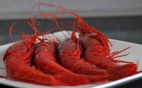 Tại thị trường Việt Nam, tôm quỷ đỏ là mặt hàng còn khá mới mẻ. Ảnh: Thasofoods