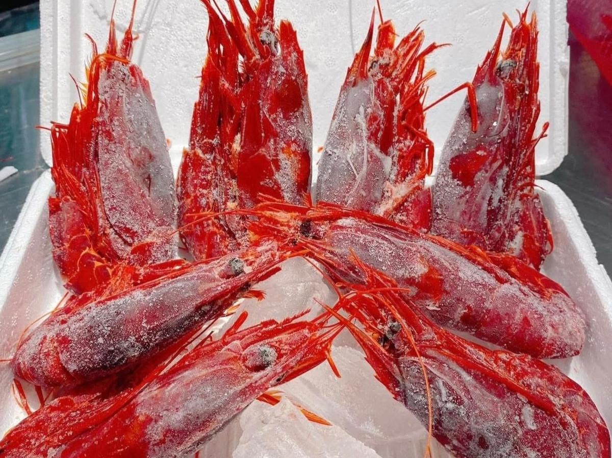 Trong đó, tôm quỷ đỏ là mặt hàng hải sản được khách ưa chuộng. Ảnh: Vietnamnet