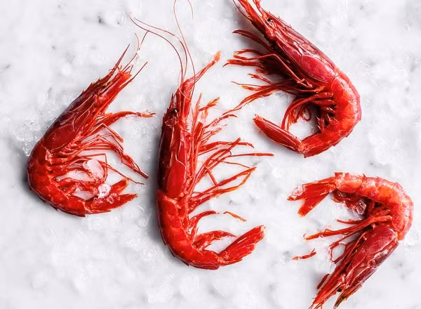 Với mức giá này, tôm quỷ đỏ trở thành mặt hàng có giá đắt đỏ nhất tại thị trường Việt hiện nay. Ảnh: Wright Brothers