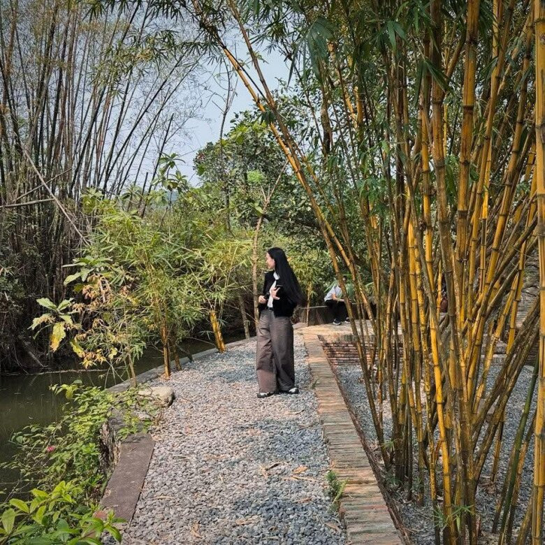 Ngoài sử dụng vật liệu cổ, bảo tàng còn có ao nước lớn, chum cổ và hàng tre xanh mát. Ảnh: FB Xuân Hinh