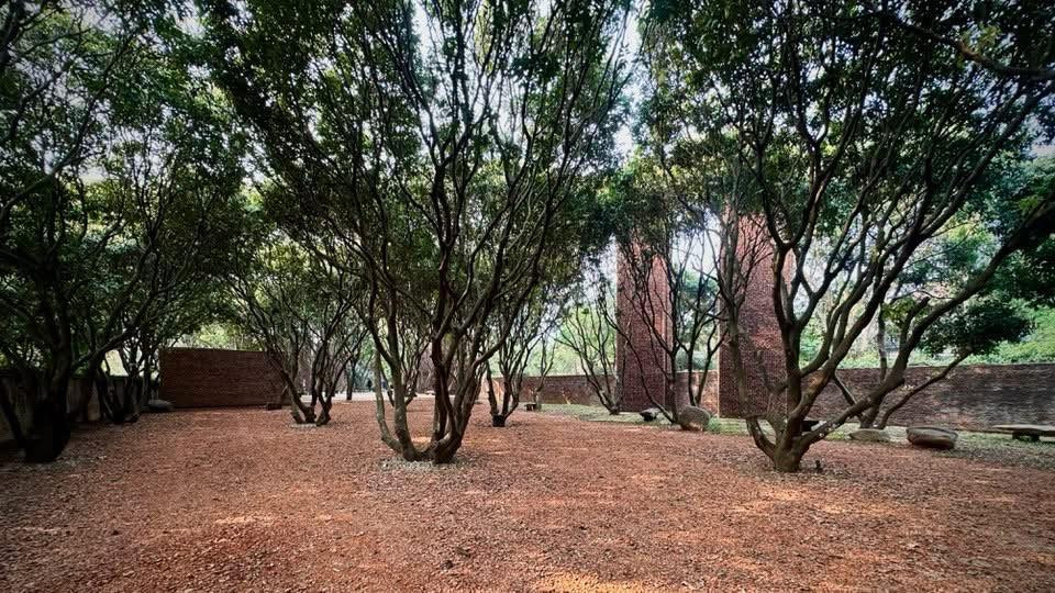 Nam nghệ sĩ chọn cách xây dựng nương theo các hàng cây lâu năm. Ảnh: FB Xuân Hinh