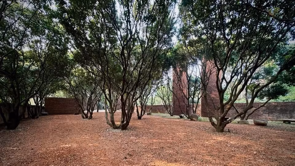 Nam nghệ sĩ chọn cách xây dựng nương theo các hàng cây lâu năm. Ảnh: FB Xuân Hinh