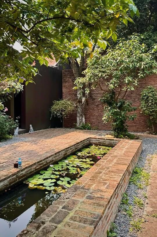 Cảnh quan đậm chất làng quê Bắc Bộ. Ảnh: FB Xuân Hinh