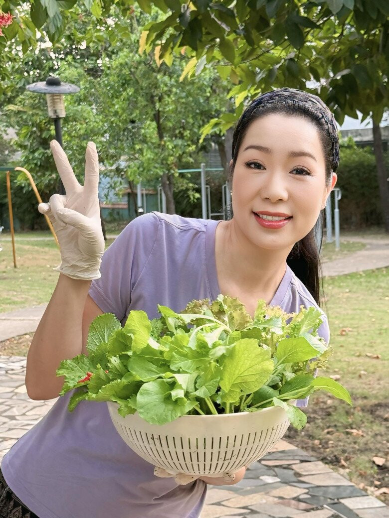 Rau cải, rau thơm, xà lách...đều xanh non mơn mởn. Ảnh: FB Trịnh Kim Chi